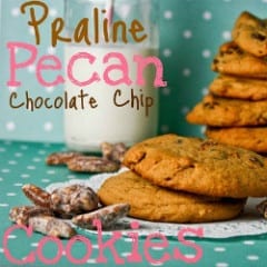 Praline Pecan Chocolate Chip Cookies from Confessions of a Cookbook Queen on @KatrinasKitchen