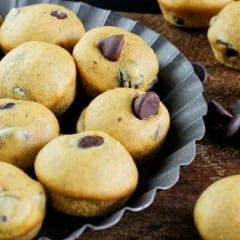 Pumpkin Chocolate Chip Mini Muffins recipe
